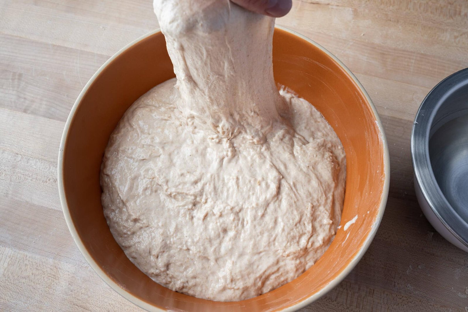 Autolyse: flour and water just mixed into a rough shaggy dough, unkneaded