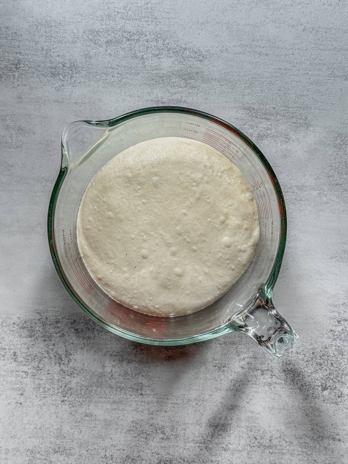 Bulk Fermentation: dough fermenting in a clear container with visible bubbles